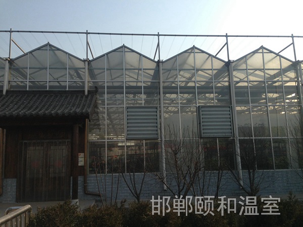 连栋玻璃温室 (7)